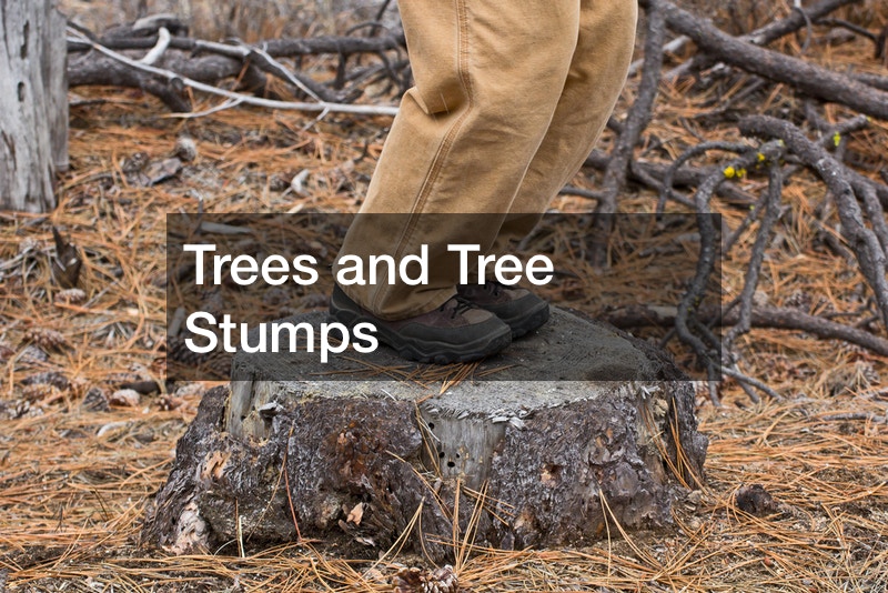 stump grinding services